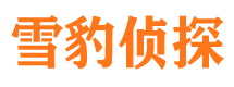 隆德市私家侦探